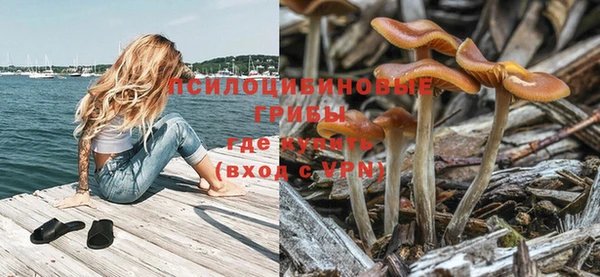 синтетический гашиш Богданович
