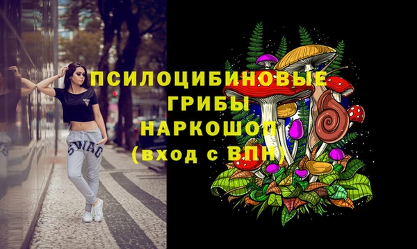 гашик Богородицк