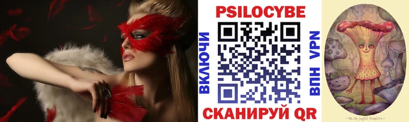 дарнет шоп  ОМГ ОМГ вход  Псилоцибиновые грибы Magic Shrooms  Светлогорск 